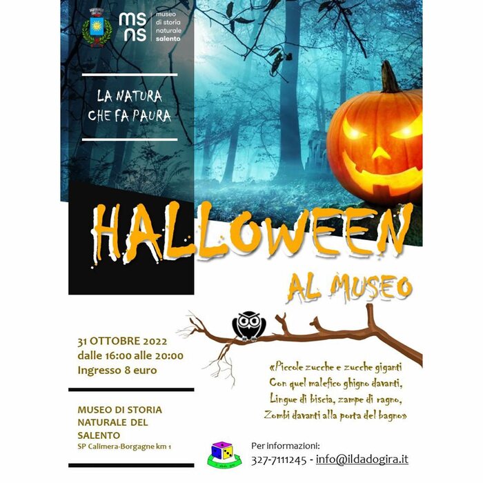 Featured image for “Halloween al Museo di Calimera – La natura che fa paura”