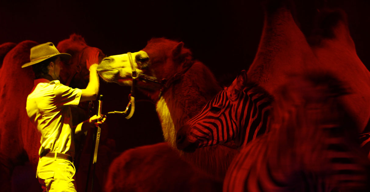 Featured image for “Imperial Royal Circus”