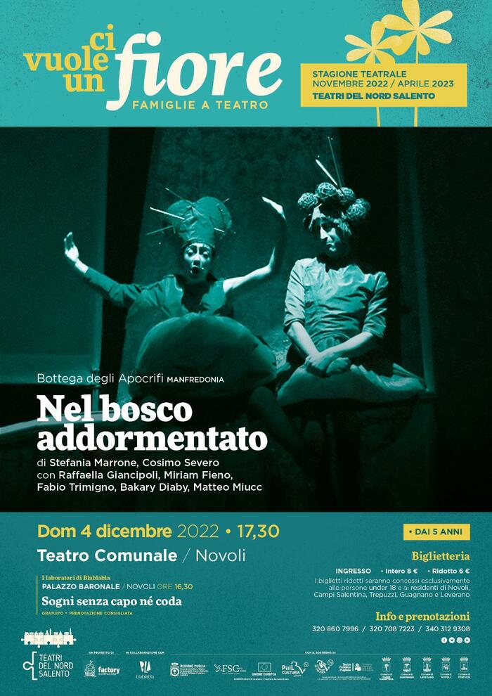 Featured image for “Nel bosco addormentato”