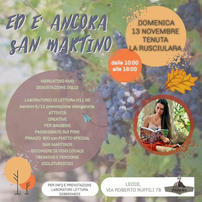 Featured image for “Ed è ancora San Martino”