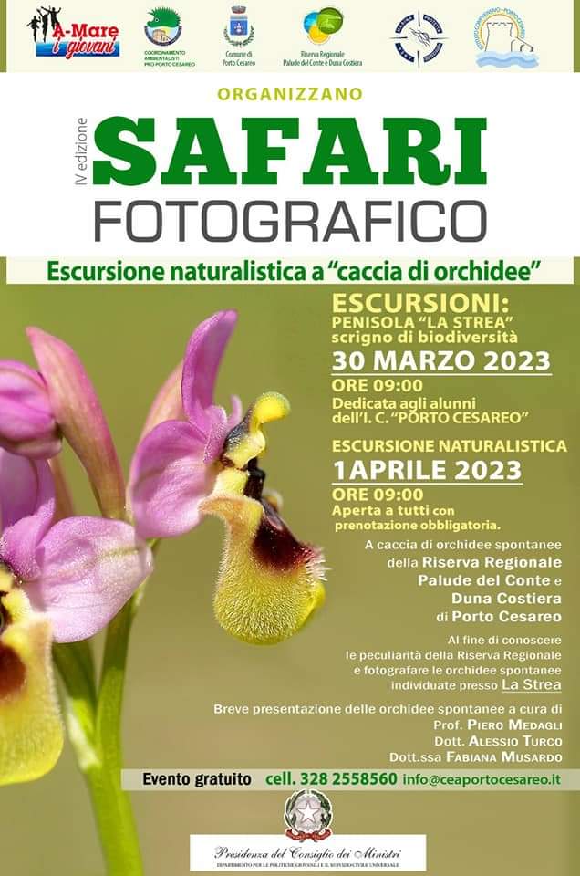 Featured image for “Safari fotografico a caccia di orchidee”