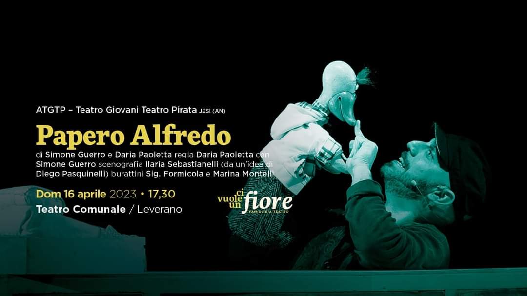 Featured image for “Papero Alfredo”