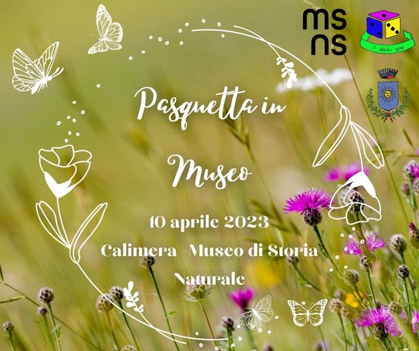 Featured image for “Pasquetta in Museo”
