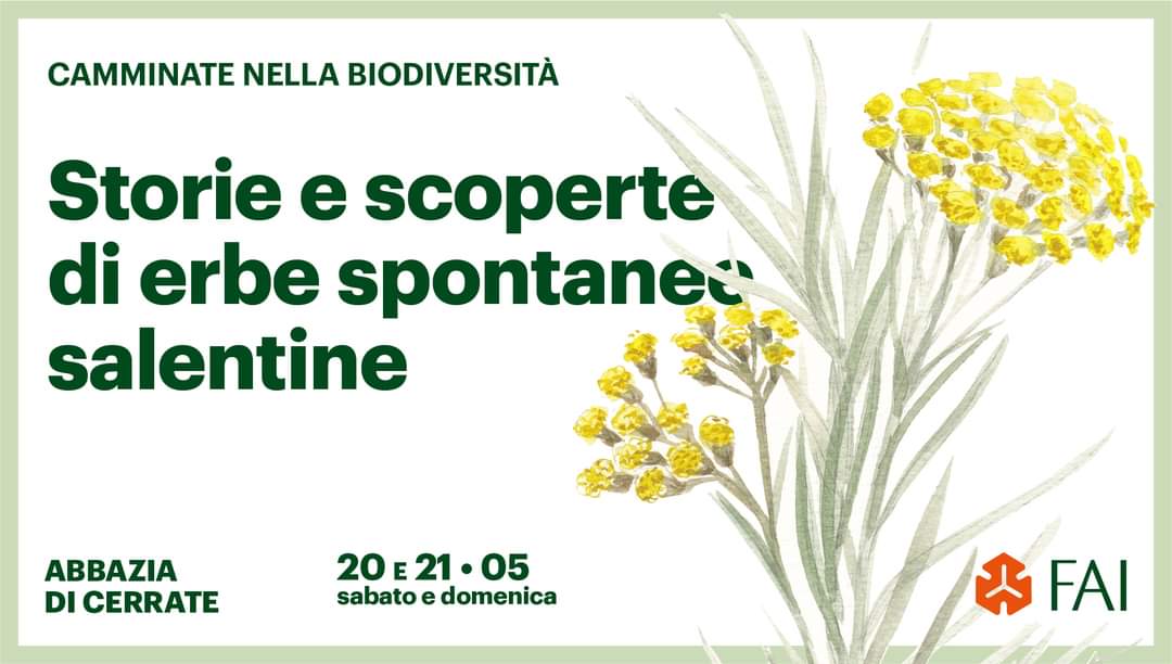 Featured image for “Tra saperi e sapori, storie di erbe spontanee salentine”