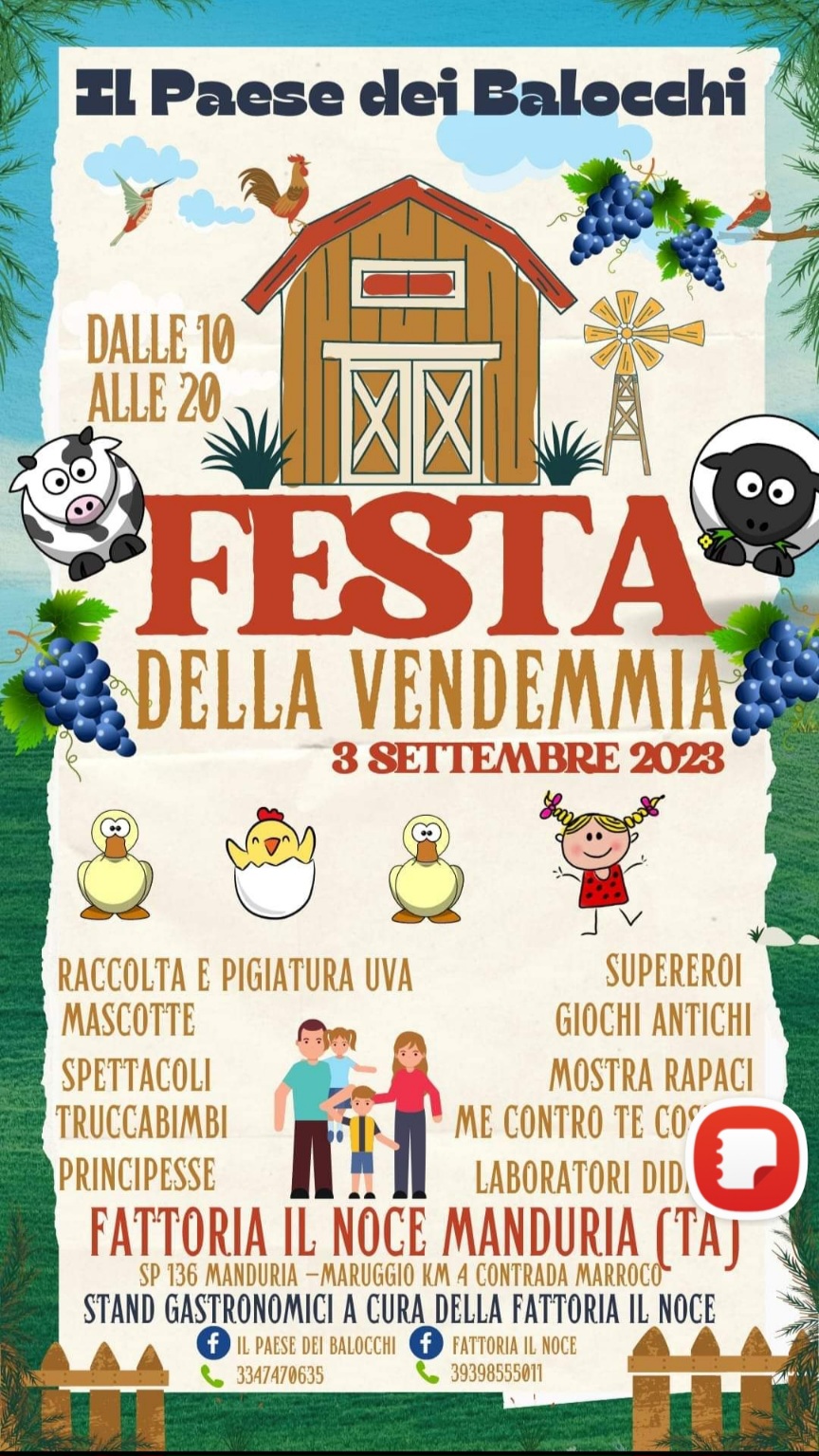 Featured image for “Festa della vendemmia”