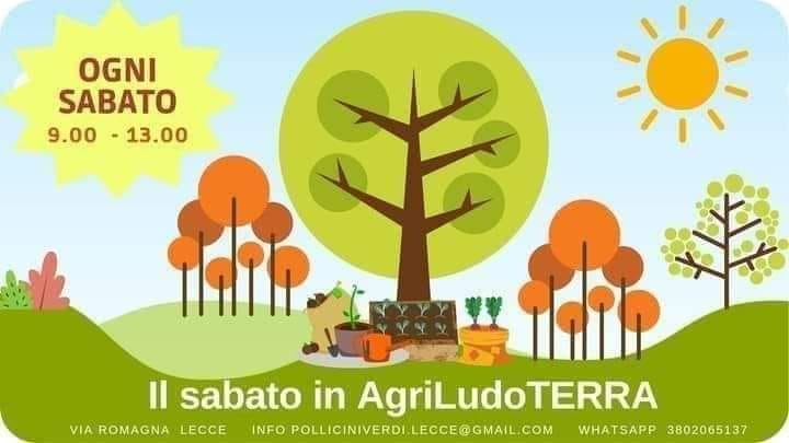Featured image for “Il sabato in Agriludoterra”