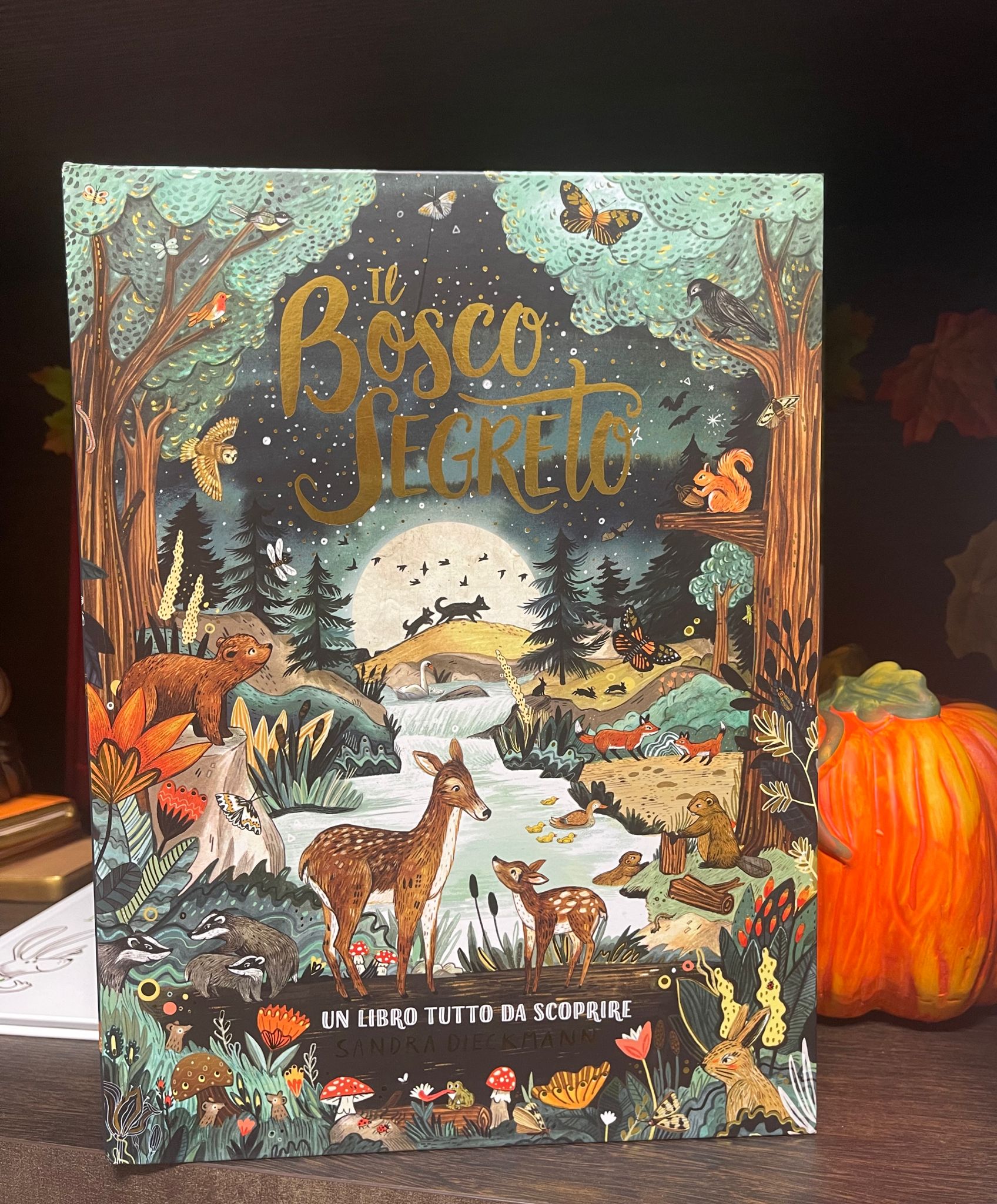 Featured image for “Letture in libreria”