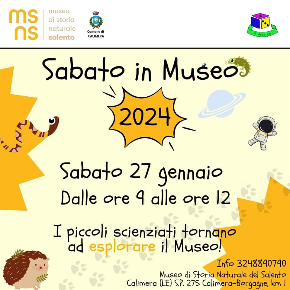 Featured image for “Sabato in museo”