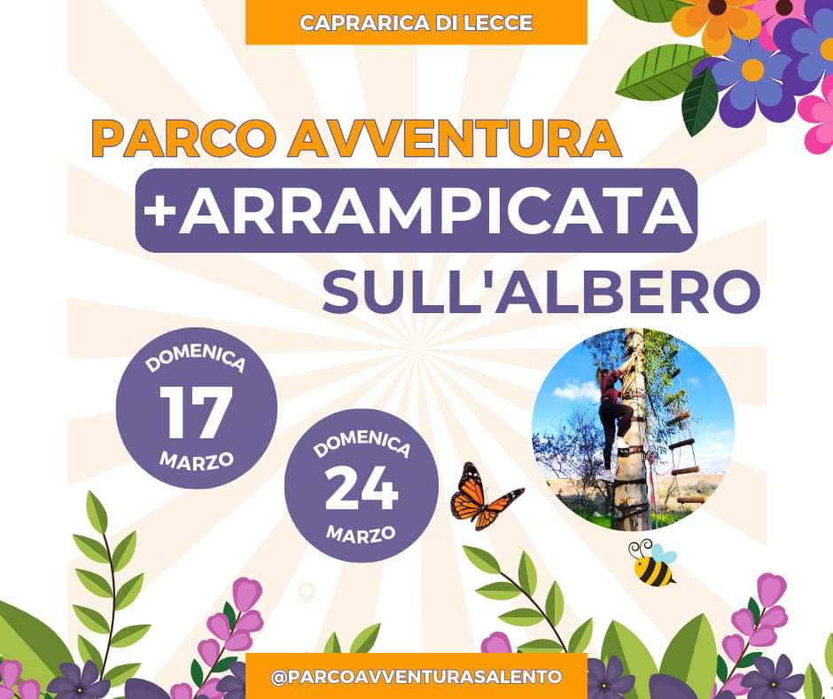 Featured image for “Parco Avventura e arrampicata sugli alberi”