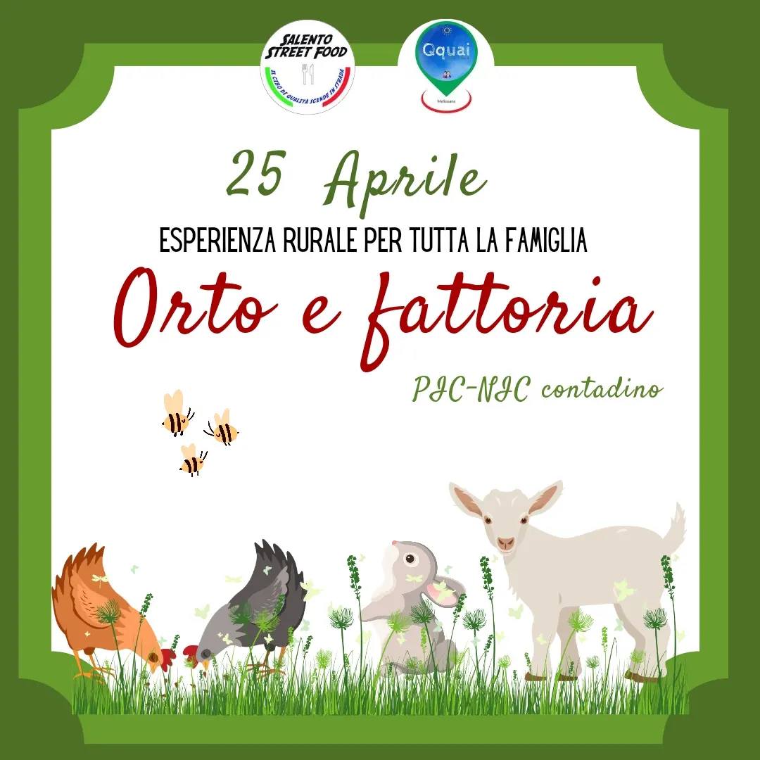 Featured image for “Orto e Fattoria – Pic Nic contadino”