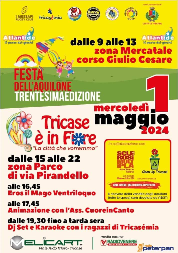 Featured image for “Festa degli aquiloni”
