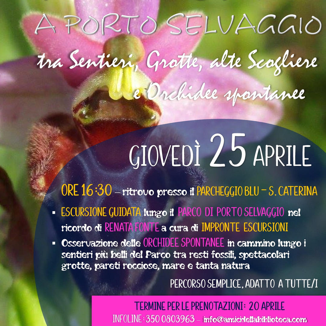 Featured image for “A Porto Selvaggio tra sentieri, grotte, alte scogliere e orchidee spontanee”