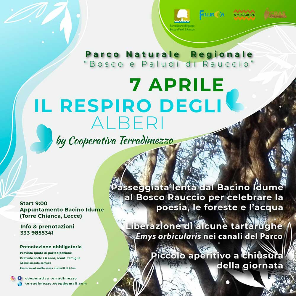 Featured image for “Il respiro degli alberi”