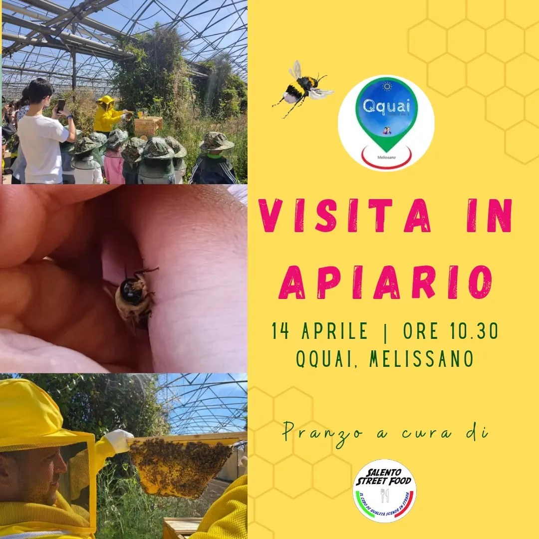 Featured image for “Visita in apiario”