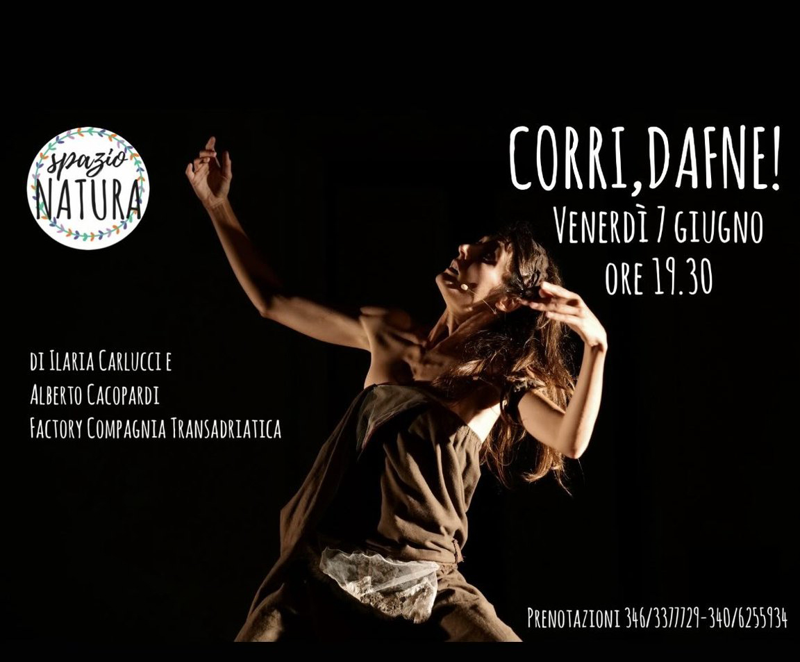 Featured image for “Corri Dafne”