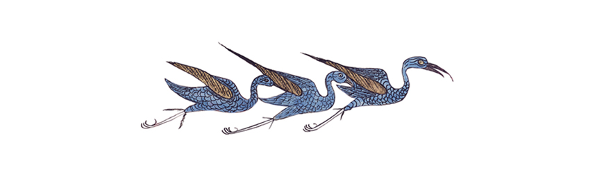Featured image for “L’isola degli animali”