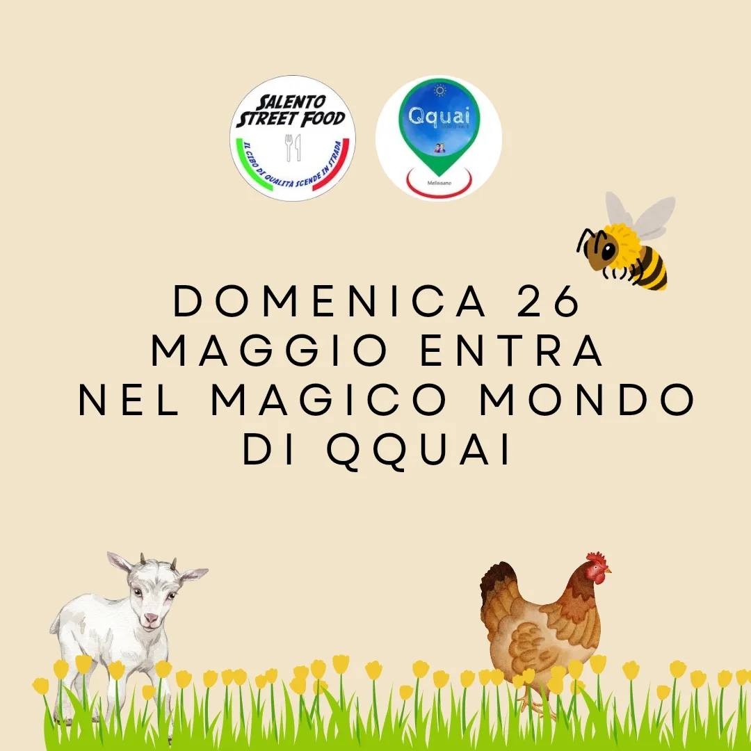 Featured image for “Nel magico mondo di Qquai”