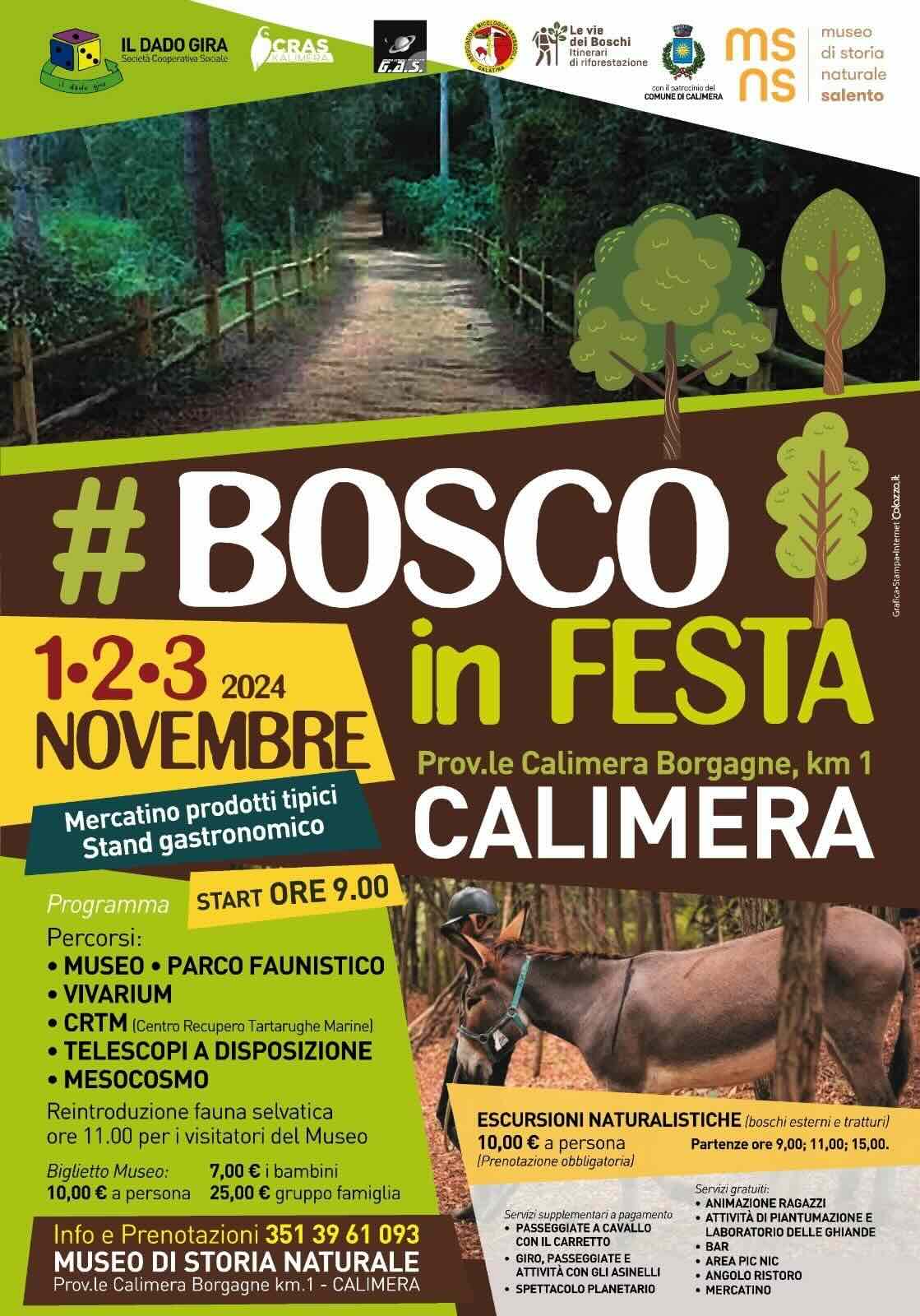 Featured image for “Bosco in Festa”