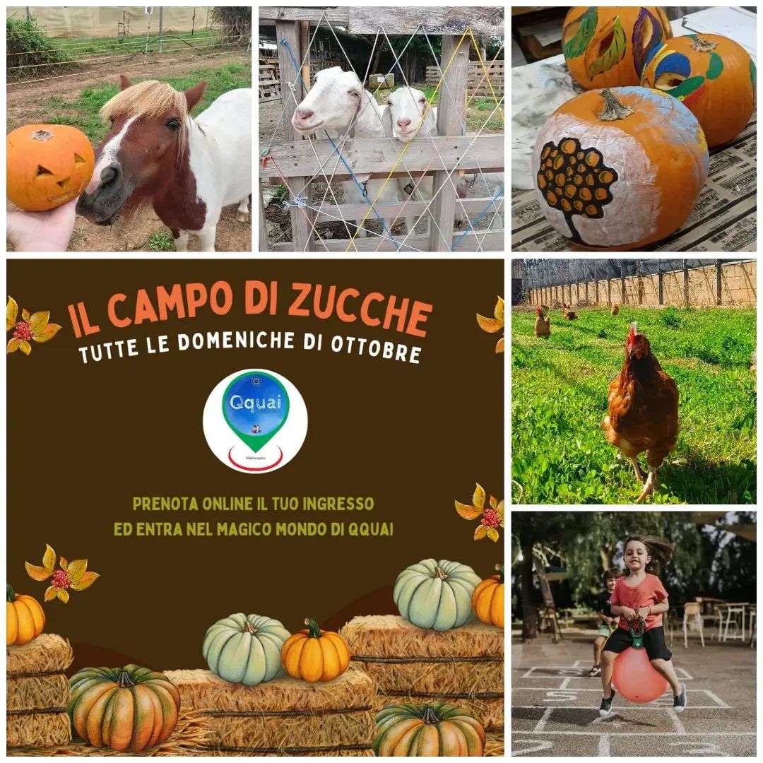 Featured image for “Il campo di zucche”