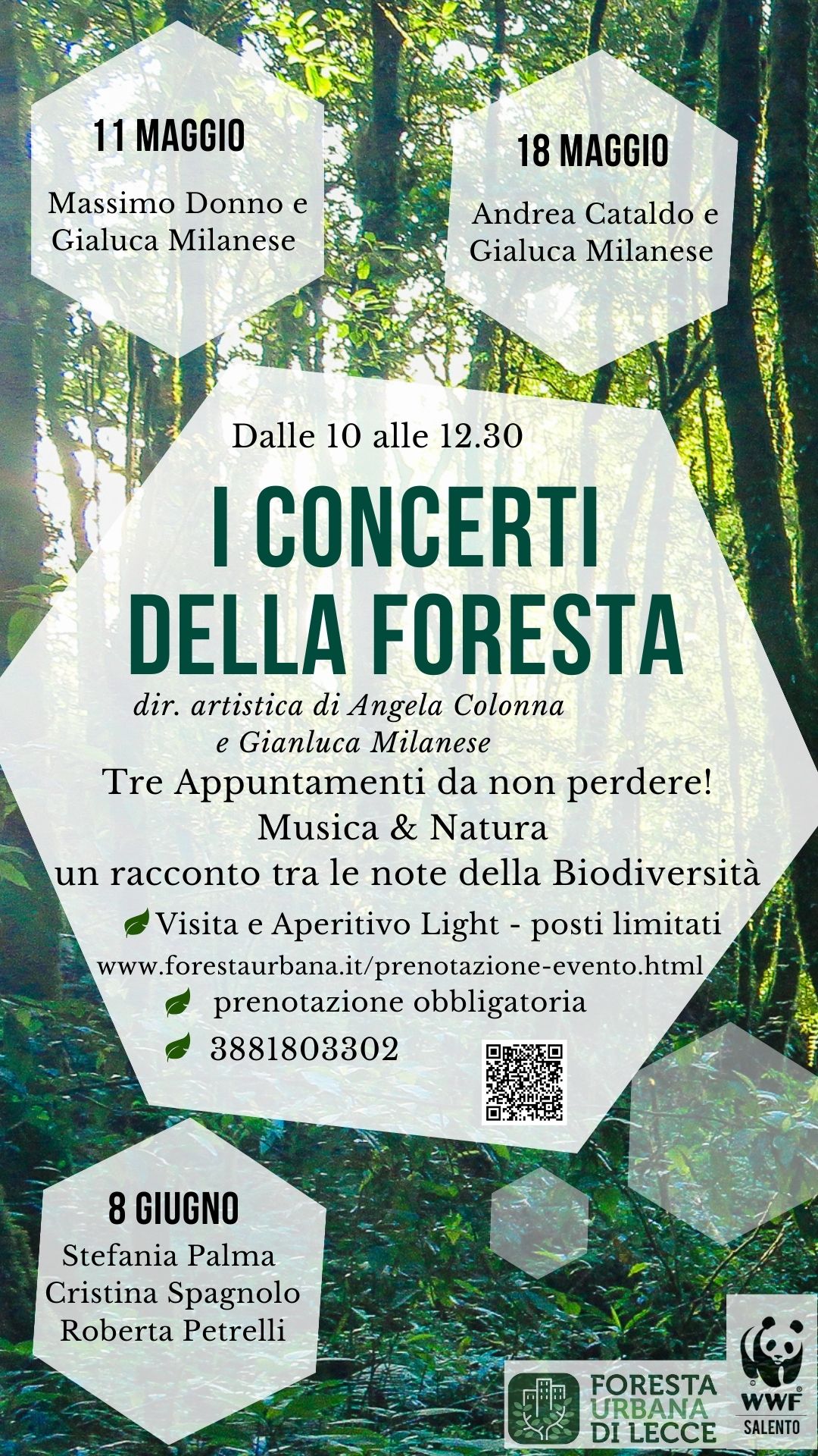 Featured image for “I Concerti nella Foresta”