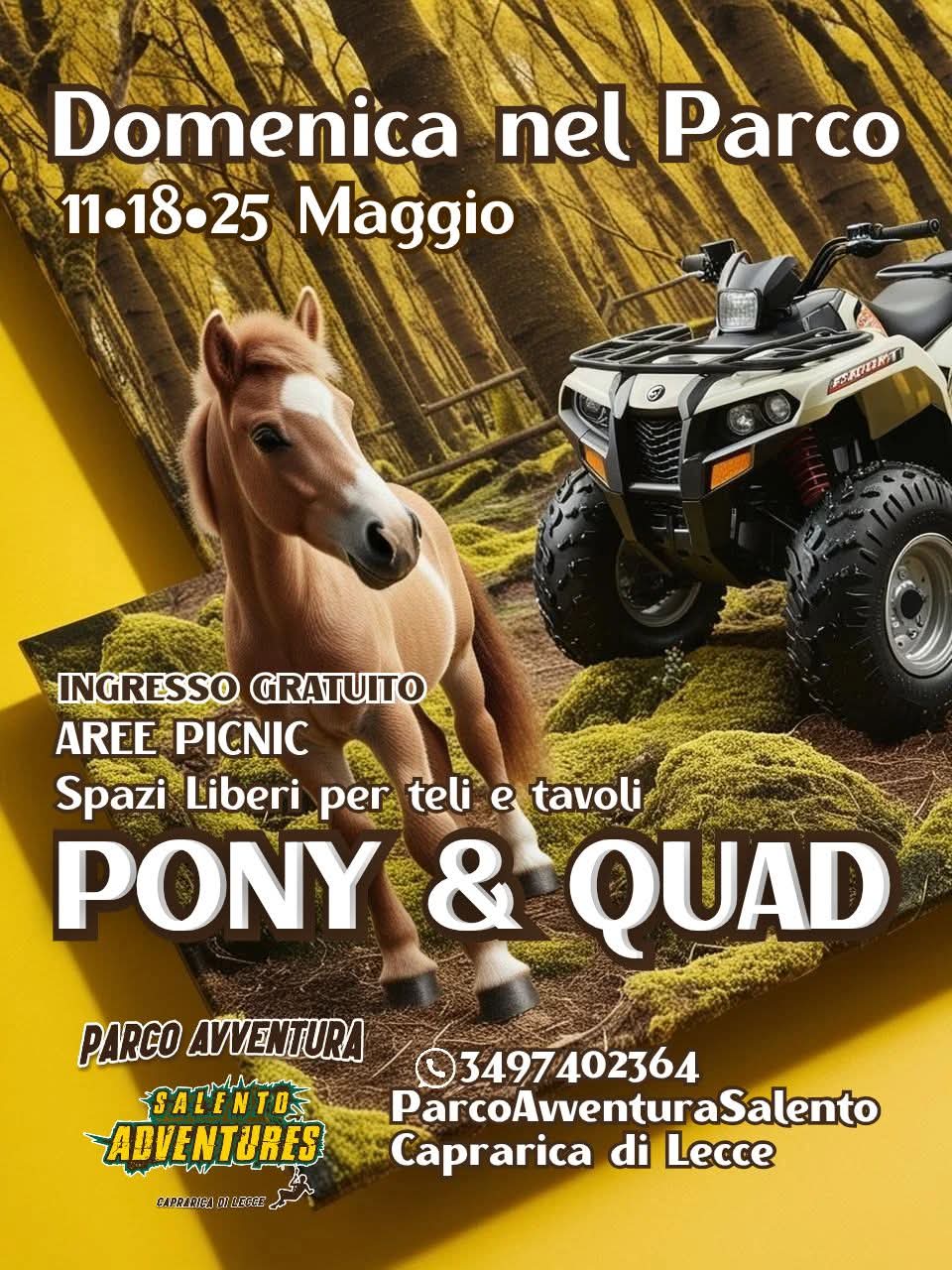 Featured image for “Pony e Quad”