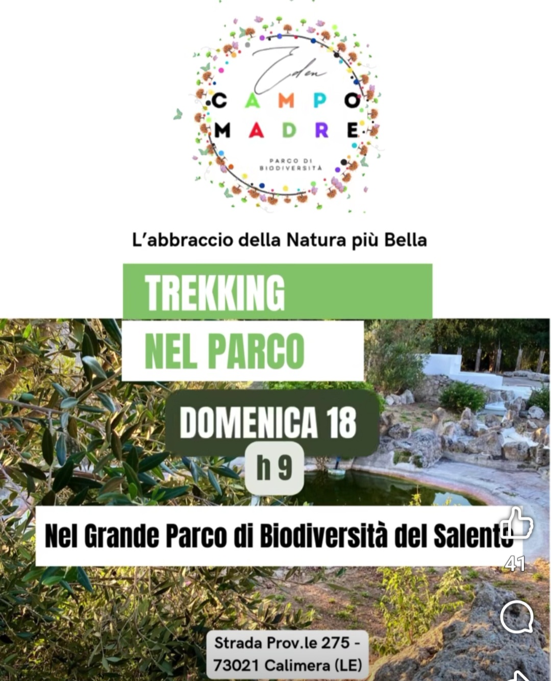 Featured image for “Trekking nel Parco”