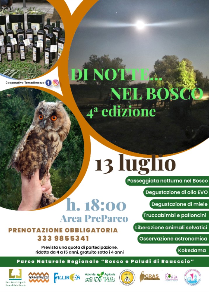 Featured image for “Di notte nel bosco 2025”