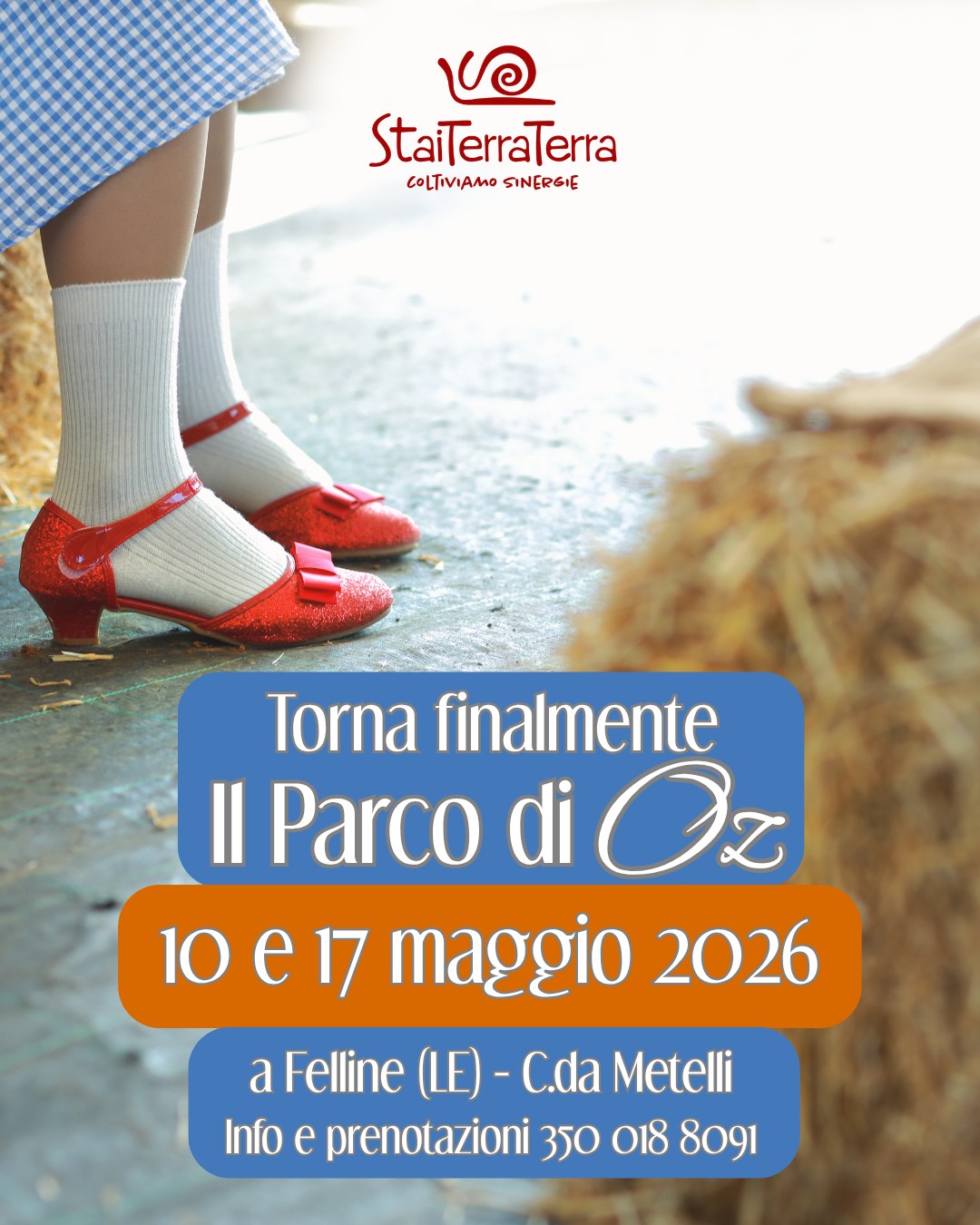 Featured image for “Il parco di Oz”