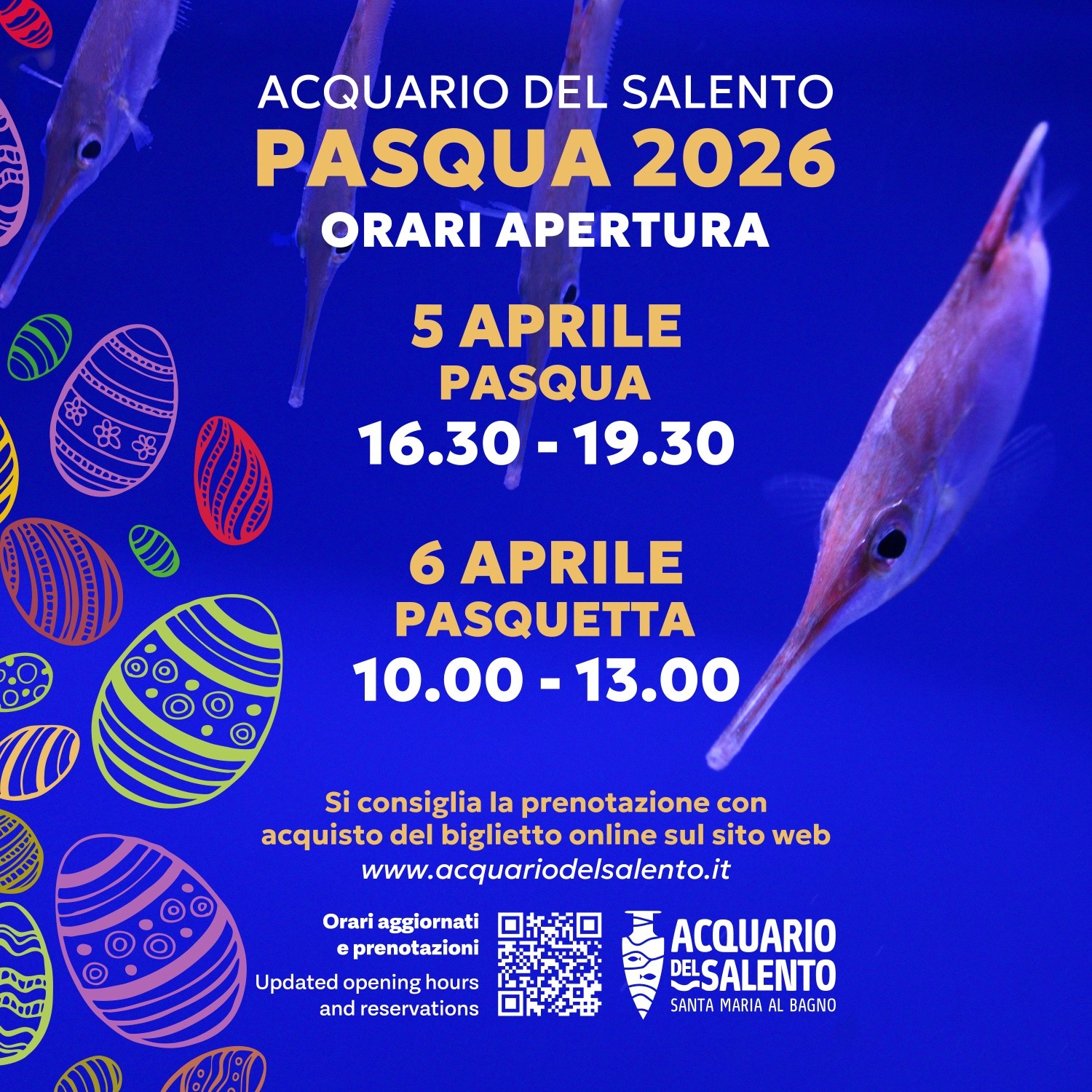 Featured image for “Apertura straordinaria Acquario del Salento”