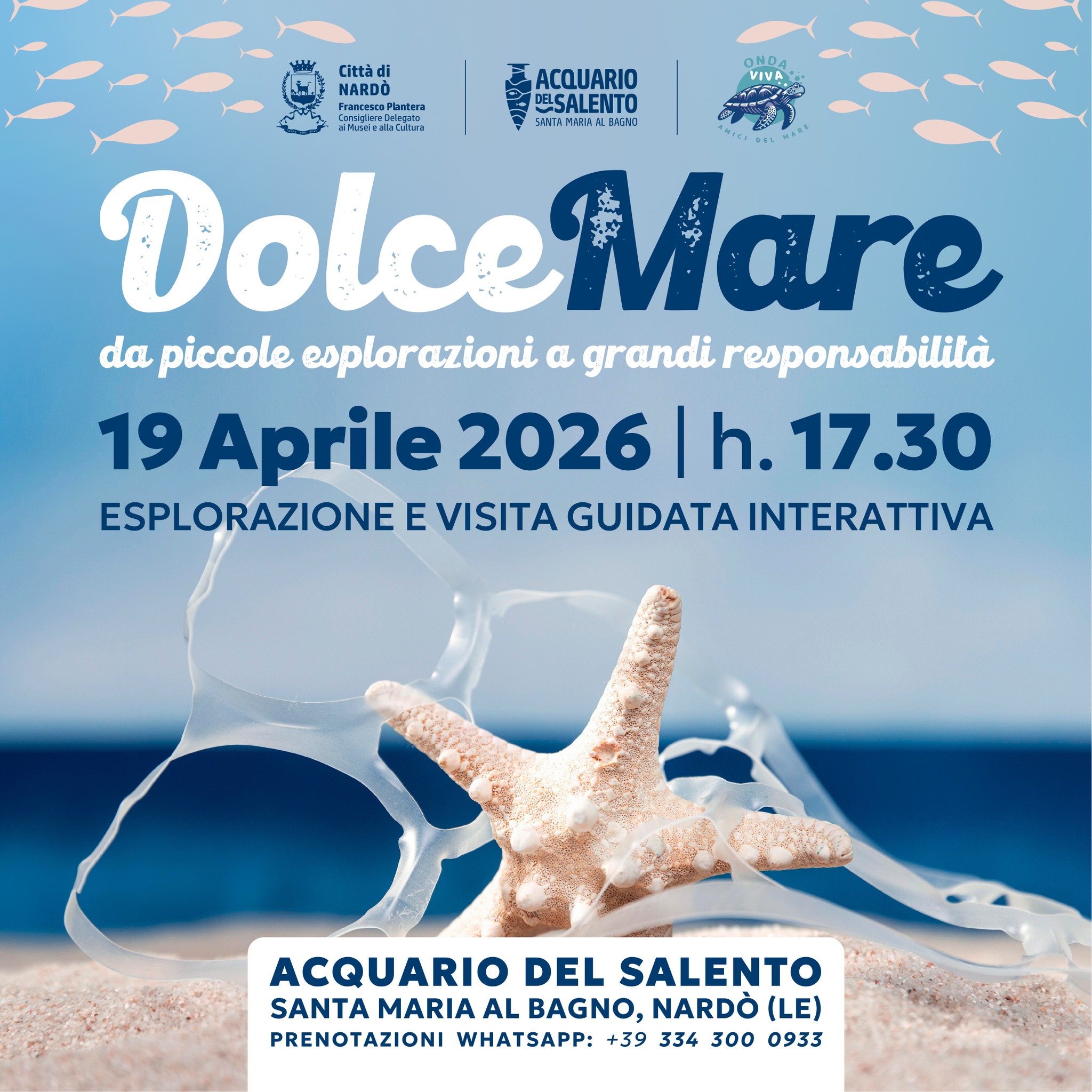 Featured image for “Dolcemare”