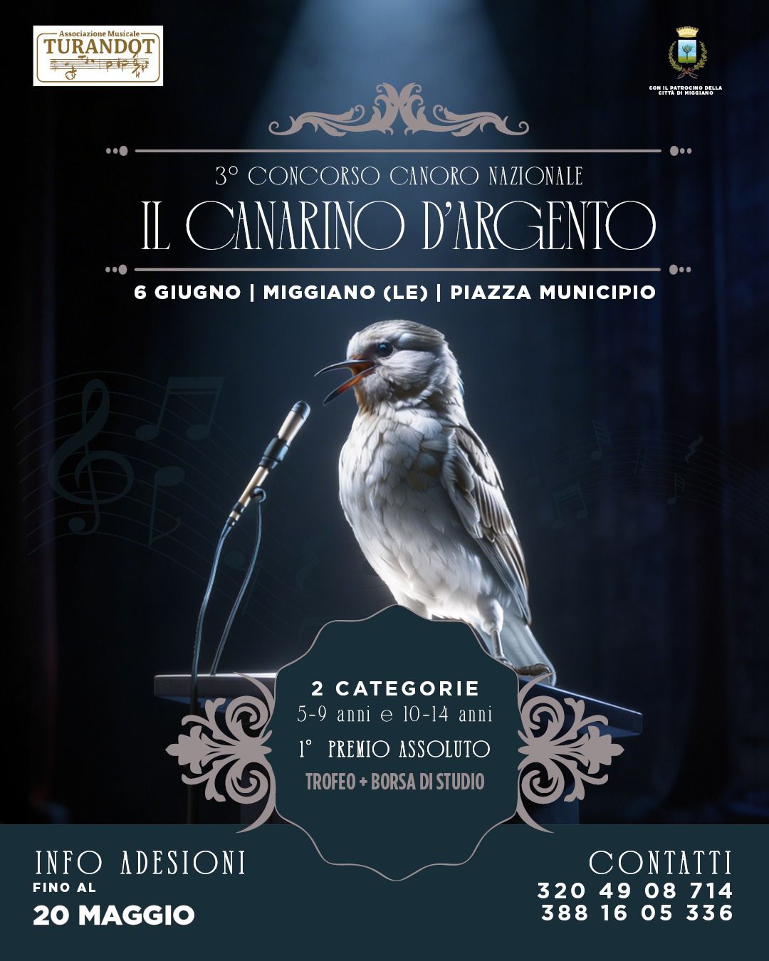 Featured image for “Il canarino d’argento”
