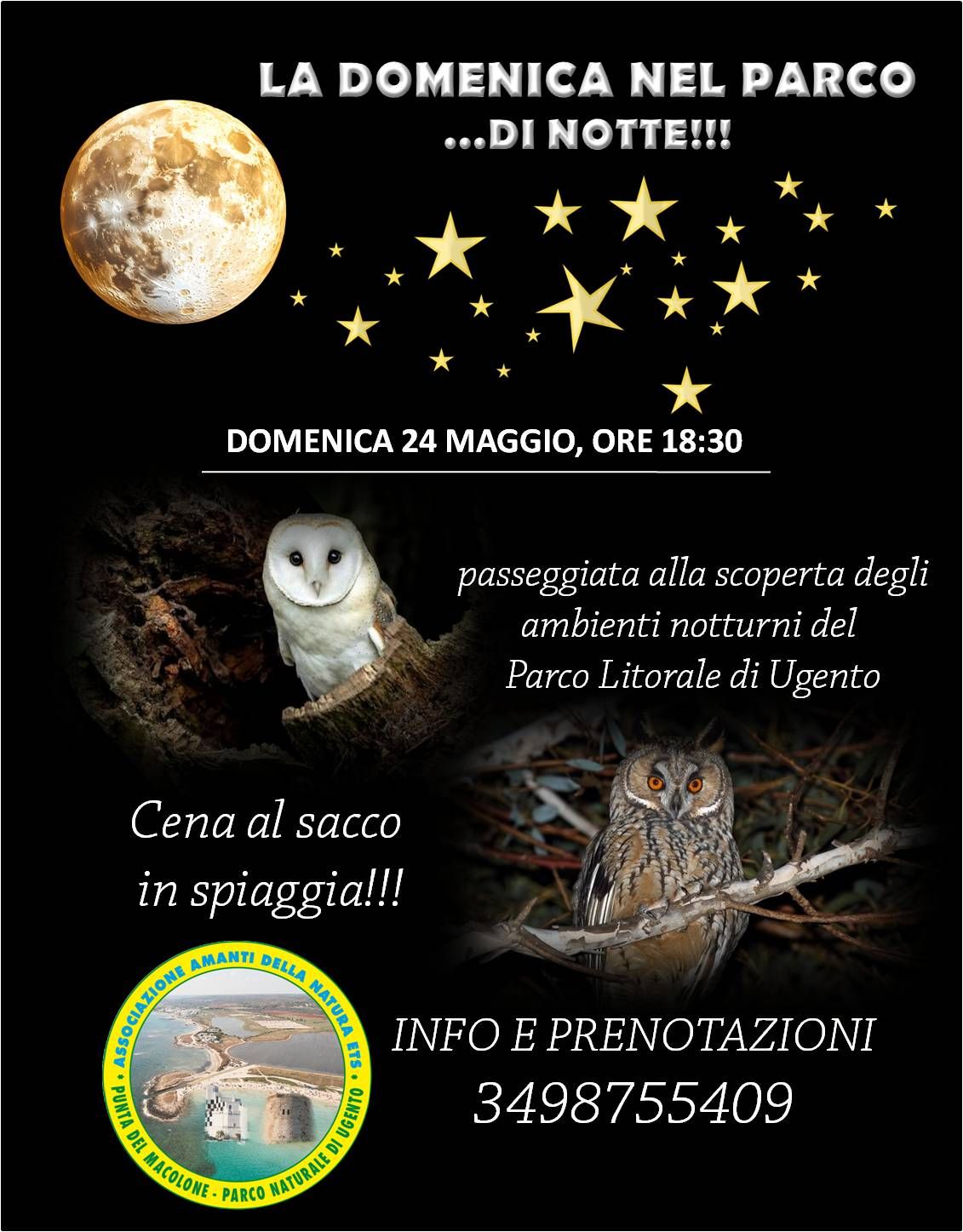 Featured image for “La domenica nel parco… di notte”