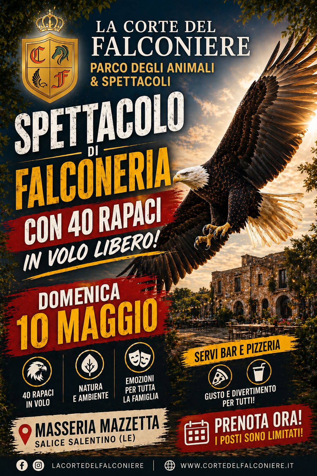 Featured image for “Spettacolo di falconeria”